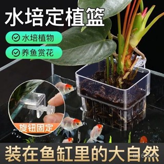 臺灣熱賣 鏤空壁掛式 透明水培籃 加厚綠植魚缸家用 定植籃 養護優選推薦 魚缸花盆 花器 植物籃 SSCV