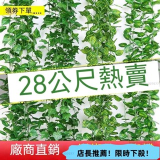 限時下殺 假花藤 壁掛裝飾花藤 模擬葡萄葉藤條 模擬藤蔓 模擬綠植物樹葉 管道吊頂裝飾花藤 假花塑膠綠葉纏繞藤 裝飾花藤