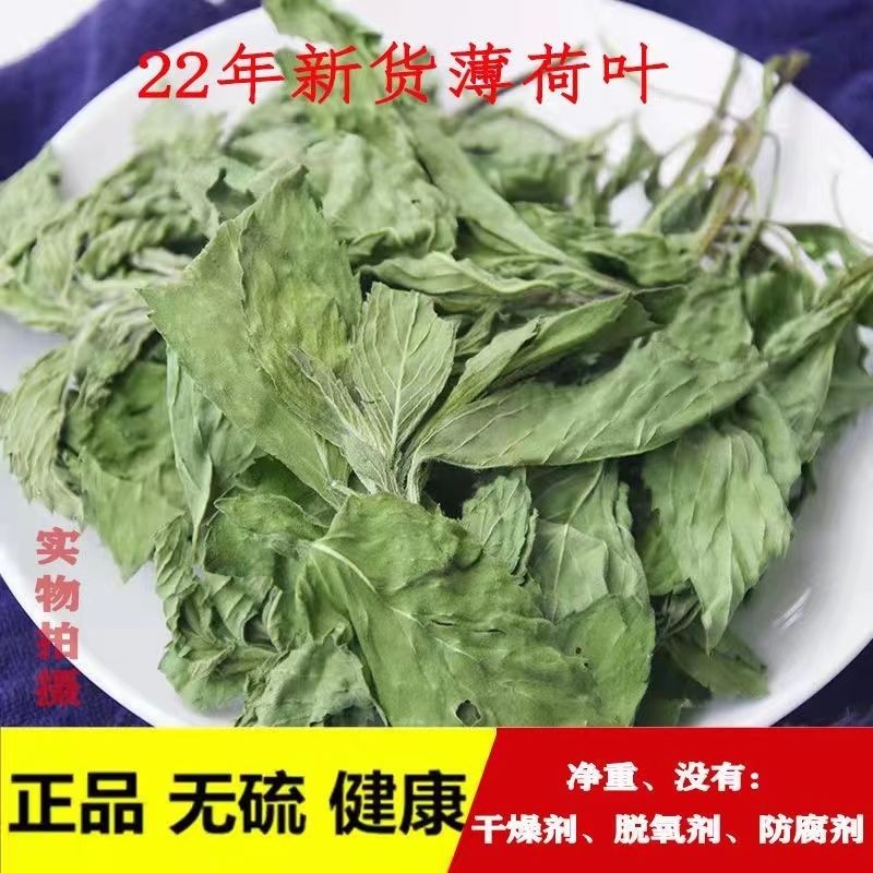 薄荷葉新鮮干葉子薄荷葉泡茶泡水薄荷水冰粉專用奶茶店干型干貨香