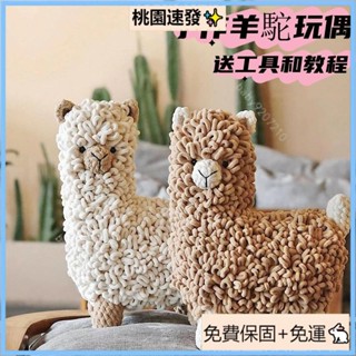 桃園精選（免運）冰條毛線鈎針ins風羊駝玩偶 手工編織DIY材料包 自製禮物抱枕擺件 diy毛綫編織 手作編織材料包 手