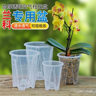 ✨桃園出貨/免運✨新款超透明青山控根盆蘭花水苔蝴蝶蘭專用花盆塑膠透氣鏤空大號盆 UVRT