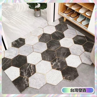 【🔥臺灣發貨🔥】北歐風 密絲圈更耐用 玄關地墊 颳泥地墊 大尺寸120cm 門口地墊絲圈 大門地墊 玄關地墊大尺寸