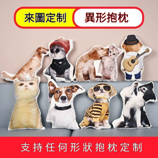 DIY客製化 寵物抱枕 貓咪抱枕 寵物抱枕 客製化娃娃 異形公仔玩偶 靠枕 午睡枕 趴睡枕 寵物客製