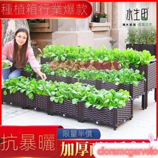 種植箱 種菜專用箱 塑膠花盆家用陽臺菜盆 長方形蔬菜樓頂特大花箱盆 飼養箱蔬菜種植箱 特大種菜箱 陽臺種菜盆