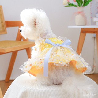 🐱風雨無憂🐶PETCIRCLE寵物圈寵物狗衣服夏日雛菊吊帶裙寵物雨衣 反光雨衣 狗狗雨衣 狗雨衣 柴犬雨衣 小型犬雨