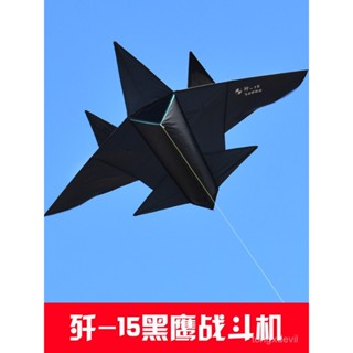 【限時下殺】新款風箏大全飛機風箏2023新款風箏成人兒童卡通黑戰鬥機大型風箏 成人風箏 風箏 初學者風箏 造型風箏 卡