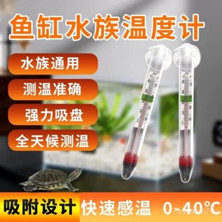 🔥桃園出貨-小胖溫度計吸盤式水族箱水溫計高精度防水嵌入式缸龜缸草缸專用