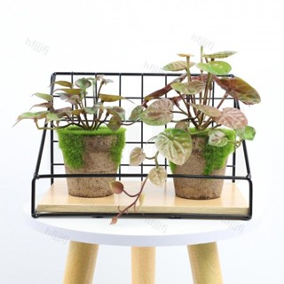 ［🎀限時折扣🍂］ 仿真植物盆栽 人造植物 婚慶隔斷裝飾 商場綠化假樹景觀草 模擬人造綠植 家居裝飾 假花植物