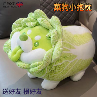🔥臺灣出貨-熱賣中🔥白菜狗 抱枕 玩偶 毛絨蔬菜精靈 菜狗送女友兒童抱枕