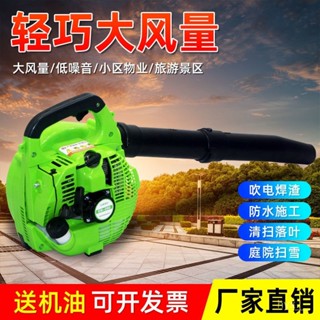 🔥臺灣發貨🔥EB260手提式汽油吹風機二衝程大功率新款強力滅火機清掃落葉園林