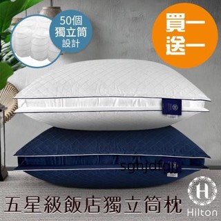 sghjdfgjj|2入組 HILTON 希爾頓 VIP貴賓 純棉 立體銀離子抑菌 獨立筒枕