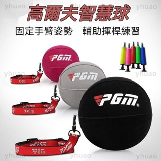 高爾夫訓練器 訓練器 器 糾正器 可充氣智慧球 手臂糾正器 手臂固定器 姿勢固定器 姿勢輔助器 練習器 高爾夫練習器