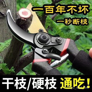 ✨限時優惠✨ 德國精工藝園剪刀剪樹枝專用剪刀修枝剪園林果樹修花家用sk5剪子 NJCO