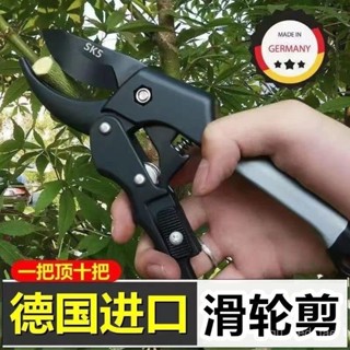✨限時優惠✨ 德國進口省力滑輪剪強力果樹粗枝剪刀園林剪樹枝神器家用修花木剪 JSKB