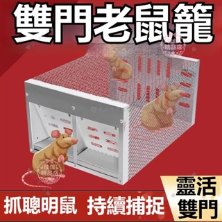 捕鼠籠 老鼠籠 捕鼠器 捕獸籠 捕鼠瓶 捕鼠 老鼠夾 撲鼠器 滅鼠 自動捕鼠夾 捕鼠神器 連續捕鼠籠 抓老鼠teddy6