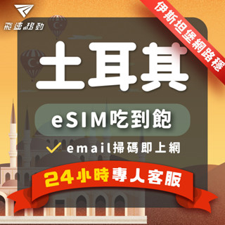 【飛速移動】土耳其eSIM 三小時內出貨 免開通 吃到飽 5~30天 5G/4G高速 伊斯坦堡 棉花堡 土耳其網絡卡