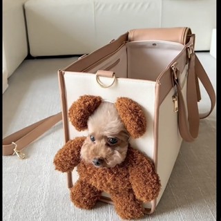 全店折扣 可愛外出大容量包包可露頭小熊毛絨貓包單肩包小型犬手提袋寵物包