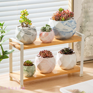 陶瓷盆 花盆 盆栽容器 園藝花盆 透氣盆 種植盆 室內擺飾 多肉盆栽 控根盆 多肉花盆陶瓷小花盆ins簡約拇指盆帶竹託