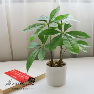 嘉義直發 模擬發財樹盆景 迷你發財樹盆栽 假植物 人造綠植 模擬綠植盆景 發財樹盆栽 辦公室擺件 仿真植物 模擬綠植盆栽