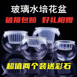 🔥臺灣出貨🔥【新款上市】透明花瓶 花器 玻璃圓球花盆水培綠蘿植物透明大號玻璃花瓶桌面水養魚缸器皿容器