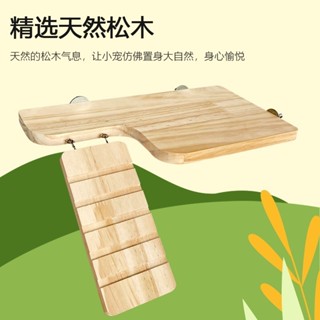 天天萌寵|倉鼠平臺 天然實木二層帶樓梯 可懸掛小鼠造景平臺 蘆丁鷄 刺蝟 黃金鼠 侏儒兔置物桌子 造景用品