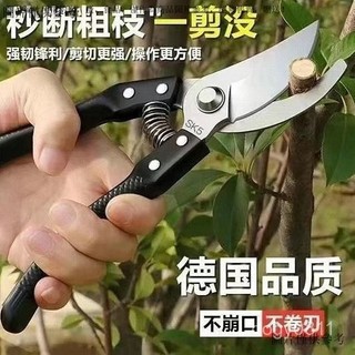 不鏽鋼園藝剪刀 高枝刀剪 修枝剪刀 果樹剪刀 花枝剪刀 採果剪刀 SK5強力園藝修枝剪新款園林家用省力款花枝園藝剪