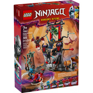 💗芸芸積木💗現貨!! LEGO 71841 龍人風暴村 Ninjago 旋風忍者系列