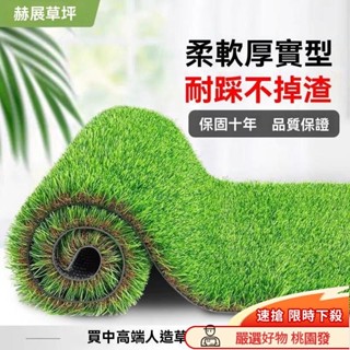 ✨24H臺灣出貨✨模擬草坪地毯幼兒園草坪墊子人工戶外假草坪人造塑膠草皮陽臺裝飾🉑開發票