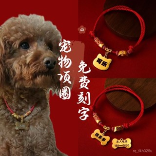 【限時特賣】寵物項圈 防丟牌 招財項圈貓咪狗狗項圈可調節大小寵物防走丟身份牌定製鐳射刻字泰迪脖圈