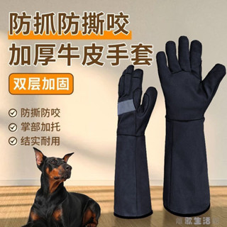 防狗咬手套 防護手套 防咬 防刺手套 防颳手套 訓狗手套 防守手套防咬手套防狗咬防貓抓訓狗訓犬寵物訓練牛皮加厚防撕洗澡