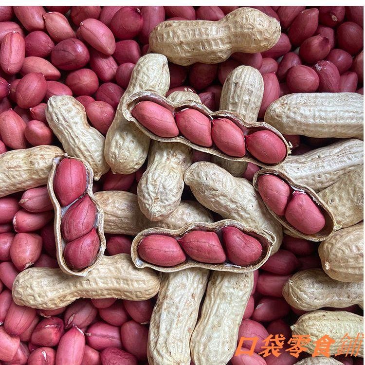 📢熱銷🔥生花生 紅皮花生 花生 堅果 2025新紅皮花生帶殻生米四粒紅衣花生種子籽新鮮貨