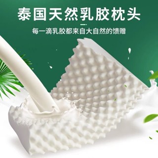 【好評率超99%衕款】泰國乳膠枕頭家用學生宿捨天然橡膠護頸椎枕助記憶枕芯低睡眠矽膠 RDA4
