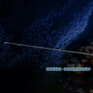 《HEXING-合興》 SKYROAD 直柄/槍柄路亞竿 中壢鴻海釣具館