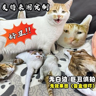 甄選好貨✿DIY異形貓咪定製公仔玩偶寵物白邊枕頭照片靠墊生日禮物 抱枕小貓