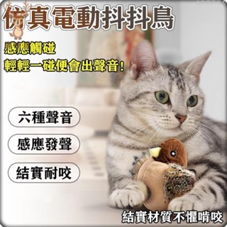 ⚡臺灣24H出貨⚡逗貓神器🔥會動會叫 電動抖抖鳥🔥貓玩具 貓咪玩具 寵物玩具 懶人逗貓神器 電動跳舞鳥附USB充電線
