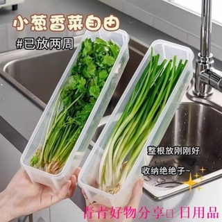 🤣桃園出貨🤣免運 香菜小蔥收納盒冰箱芫荽整根保鮮神器加厚級麵條備菜密封