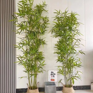 臺灣熱銷💪免運費 模擬竹子 植物造景 室內裝飾 假竹子 送花籃 隔斷屏風 造景裝飾 竹盆栽 綠植落地 模擬綠植