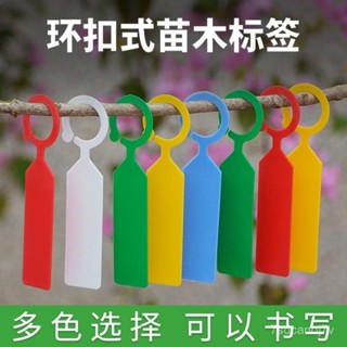 ✨桃園出貨-【3698人在12小時內髮貨】園藝標簽牌環扣塑膠防水苗木葡萄果樹授粉標記藤曼分類色卡懸掛式