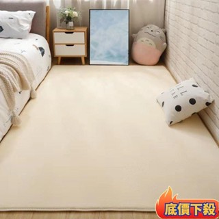 🌟臺灣熱銷🌟地毯地墊 客廳防滑地毯 簡約臥室茶几地毯 家用榻榻米地毯 床邊地墊拍攝背景 臥室床邊地毯 毛絨地毯 珊瑚