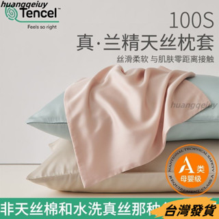 【臺灣發貨】100S蘭精天絲枕套一對裝夏季冰絲枕頭套單個純色枕芯套單人內膽套純絲枕頭套 天絲頭枕套 枕頭套 冰絲枕頭套