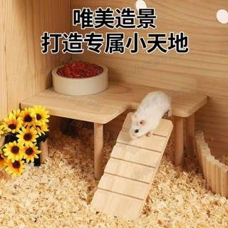 免運/特惠 倉鼠籠子平臺二層樓梯二樓平臺桌子爬梯金絲熊蘆丁鷄造景用品擺件 造景桌子 帶樓梯躲避屋 攀爬玩具