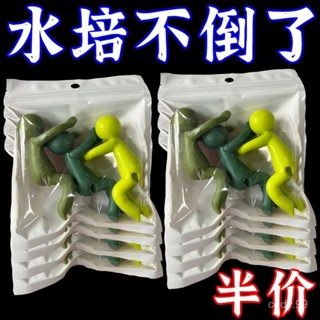 🔥桃園出貨🔥水培伴侶扶正固定魚缸辦公裝飾理綫園藝神器水培固定擺件