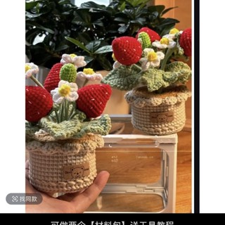 手工編織DIY草莓盆栽花束毛線鉤織材料自制永生(不是成品)