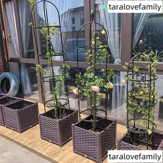陽臺種菜深花盆樓頂專用葡萄薔薇月季花箱花槽大號果樹盆50種植箱