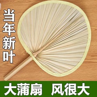🌝臺灣出貨🌝大蒲扇老式扇子夏天耐用舞蹈手工芭蕉扇中國風兒童古風嬰兒小扇子