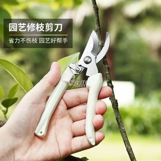 桃園發貨可開票【彎直兩用選】修枝剪全套園藝剪園林直彎頭花園剪刀摘果剪彈簧手動園藝剪子工具