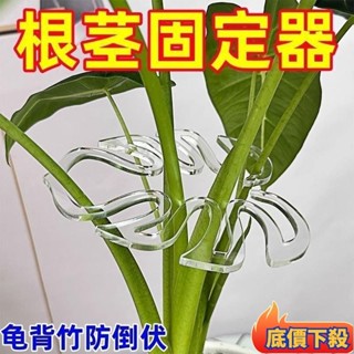 😲限時折扣😲龜背竹支撐桿花支撐架枝幹收攏架植物防倒伏支架綠植固定神器花架 花支撐架 枝幹收攏架 植物防倒伏支架 綠植