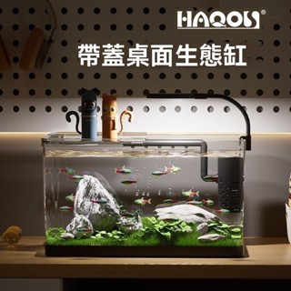 好物推薦👍臺灣出貨 免換水家用金魚缸 懶人魚缸 桌面魚缸 水族箱 桌面魚缸 魚缸水族箱 生態桌面造景魚缸 塑膠