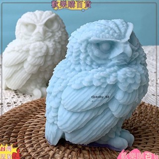 免運+臺灣出貨🤞站立貓頭鷹香薰擴香石石膏矽膠模具自製動物手工蠟燭擺件模具gsA2