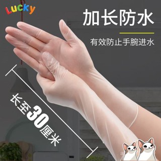 🔥低價/免運速發 一次性手套pvc加長手套洗碗手套橡膠食品級專用防水加長廚房防油